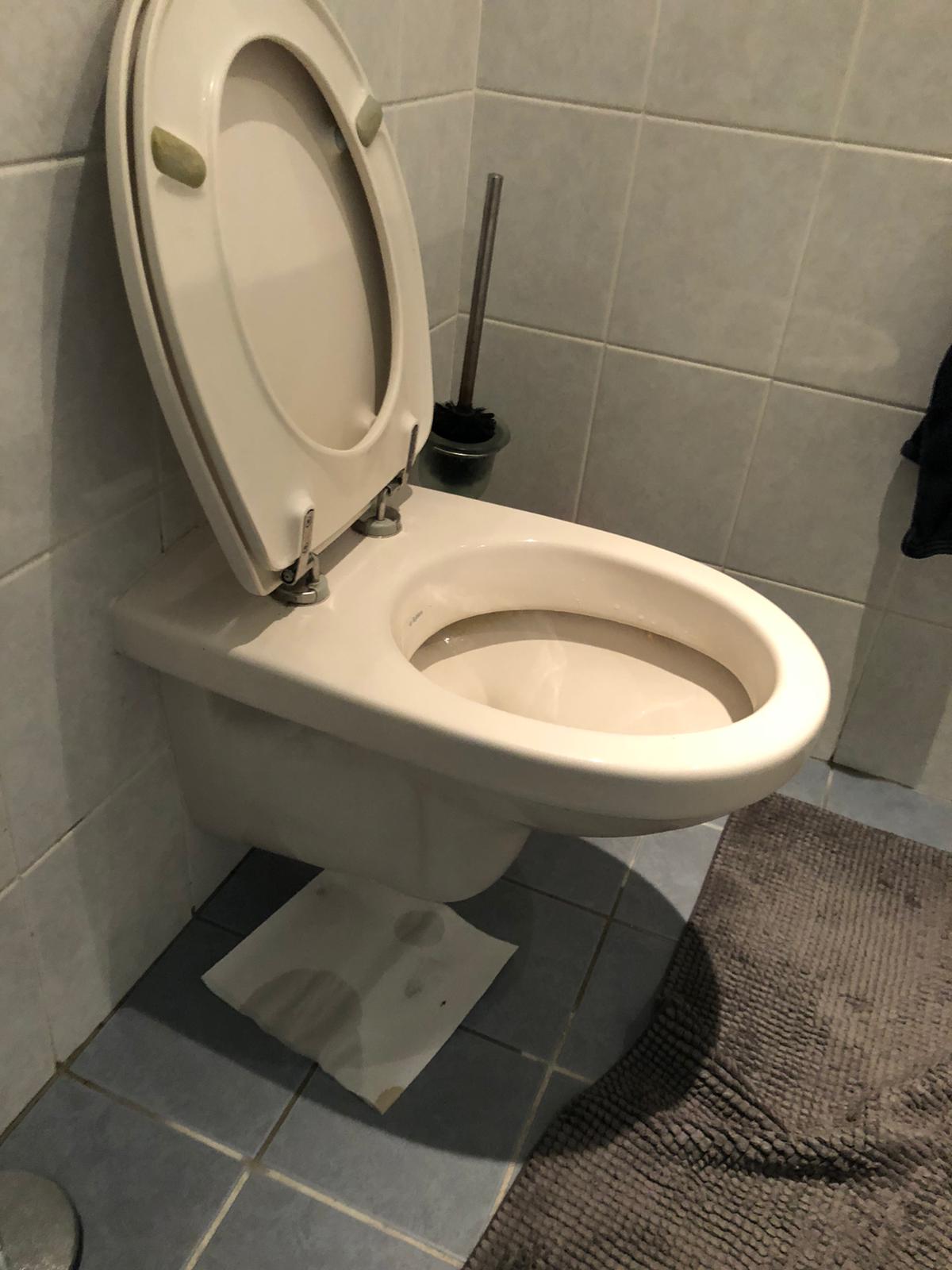 hangtoilet Renkum